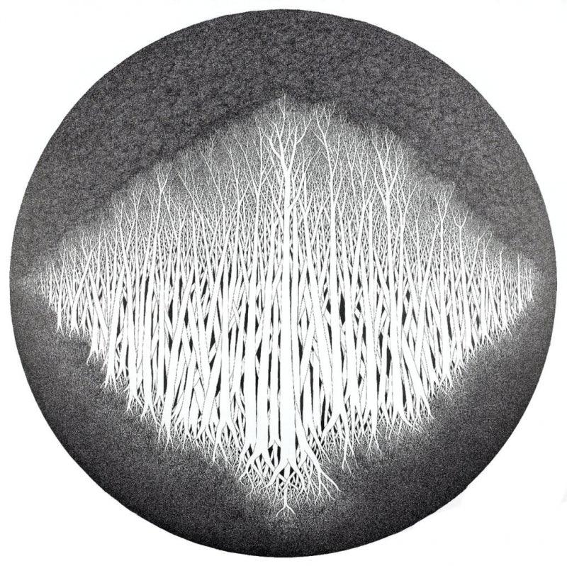Nature pen ink drawing titled 'Nature 0765', 36x36 inches, by artist Prakash Ghadge on Canvas
