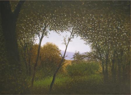 Landscape oil painting titled 'Nature Shade', 16x22 inches, by artist Fareed Ahmed on Canvas Board