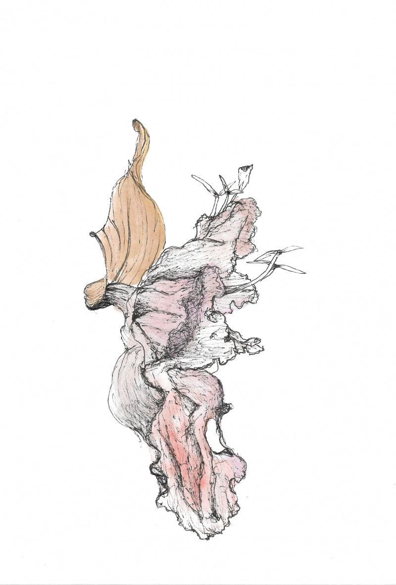 Nature archival ink drawing titled 'Palaash 1', 8x5 inches, by artist Shikha Baheti on acid free paper