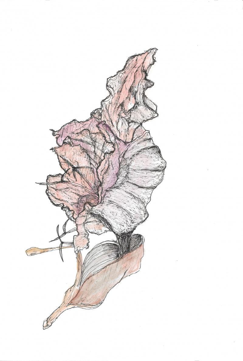 Nature archival ink drawing titled 'Palaash 2', 8x5 inches, by artist Shikha Baheti on acid free paper