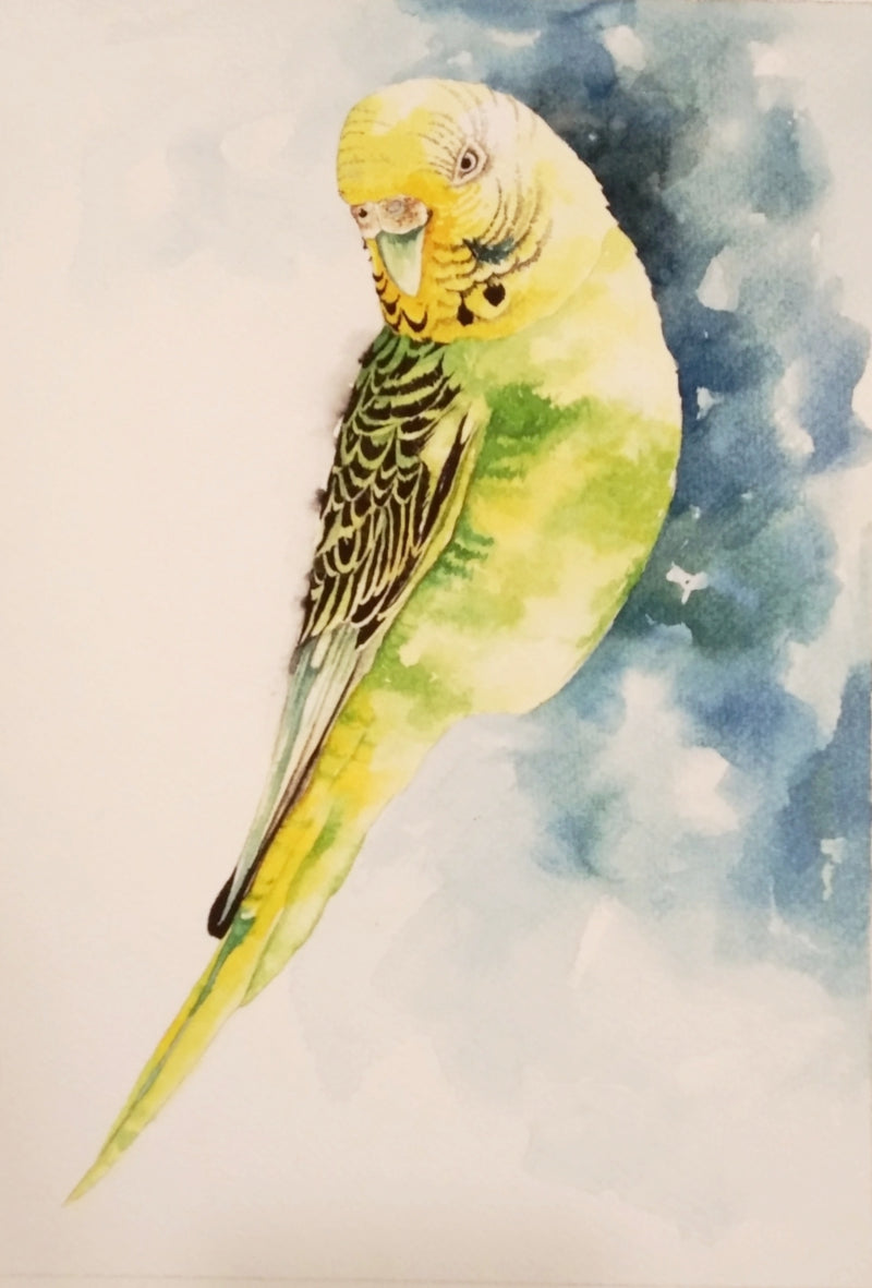Parrot' animals watercolor painting by artist Anjana Sihag, 12x9 inch, on paper