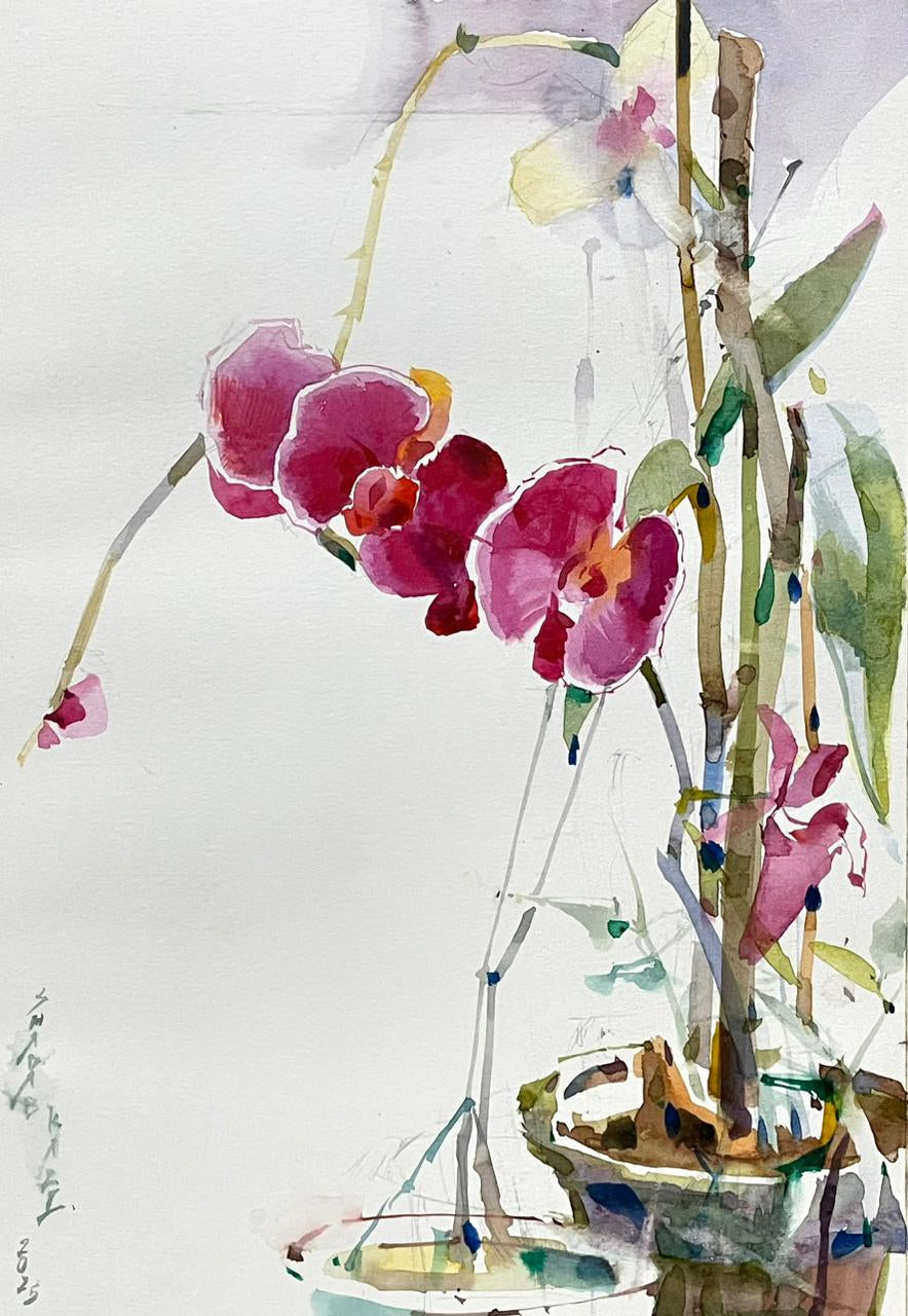 'Phalaenopsis Orchid' nature watercolor painting by artist Shadab Kazi, 11x8 inch, on paper