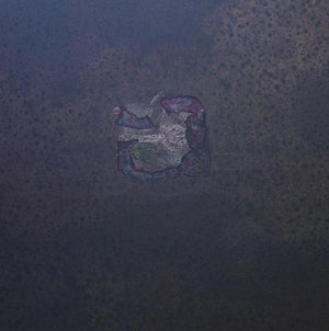 Pond Flower (Birth of Form) by Rajneesh Singh, Original Acrylic Abstract Painting on Canvas, Medium Square Wall Art