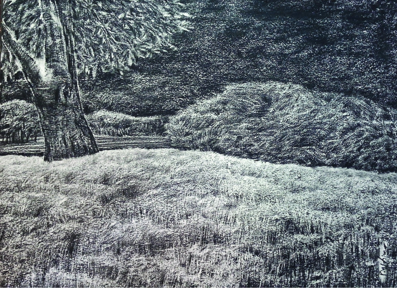 'Prakriti 3' nature charcoal drawing by artist Pintu Biswas, 22x30 inch, on paper