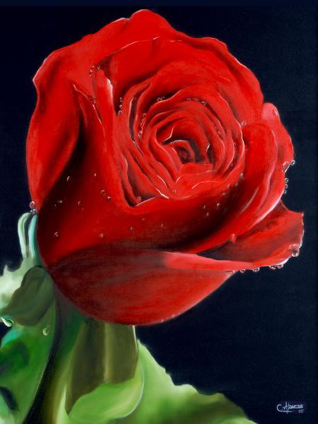 Nature oil painting titled 'Red Rose', 29x21 inches, by artist Abarna Kamalesh on Canvas