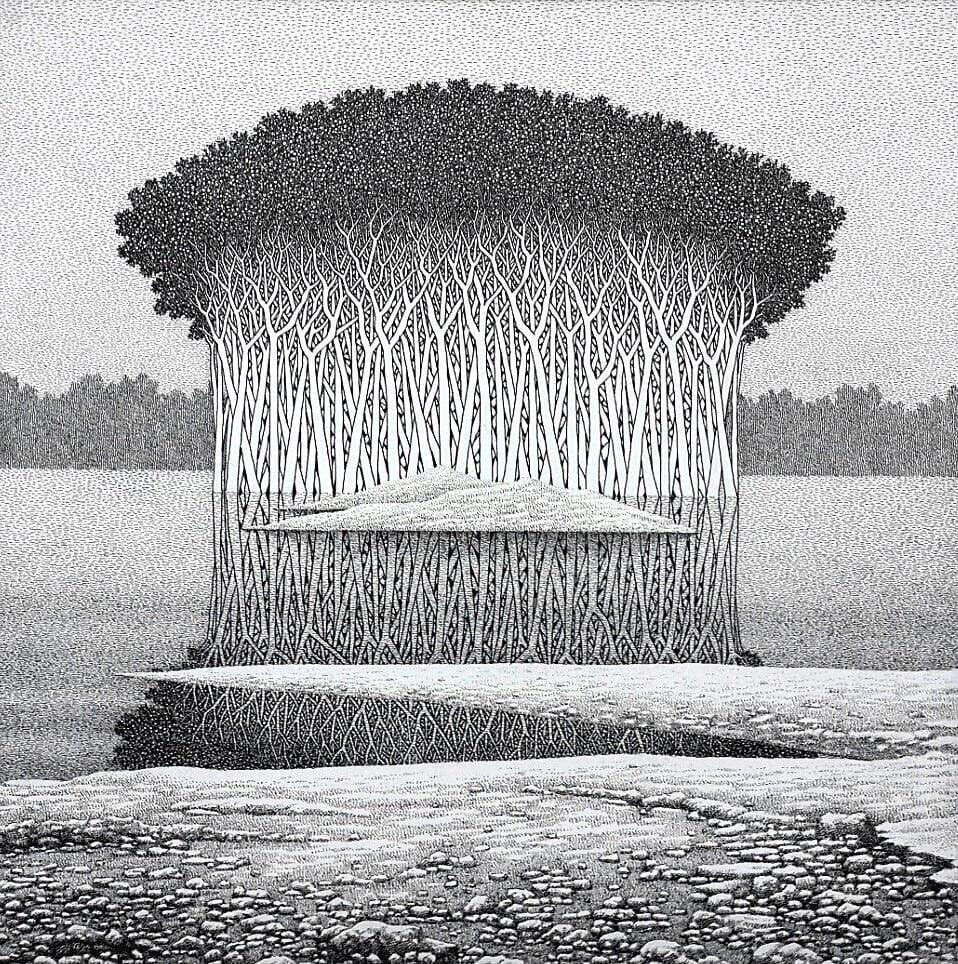 Nature pen ink drawing titled 'Reflection 14', 22x22 inches, by artist Prakash Ghadge on Canvas