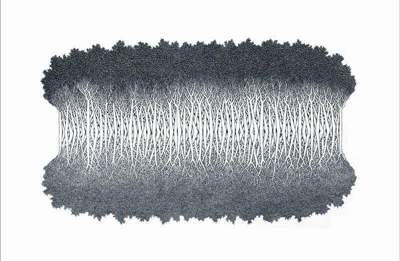 Landscape ink drawing titled 'Reflection I', 24x36 inches, by artist Prakash Ghadge on canvas