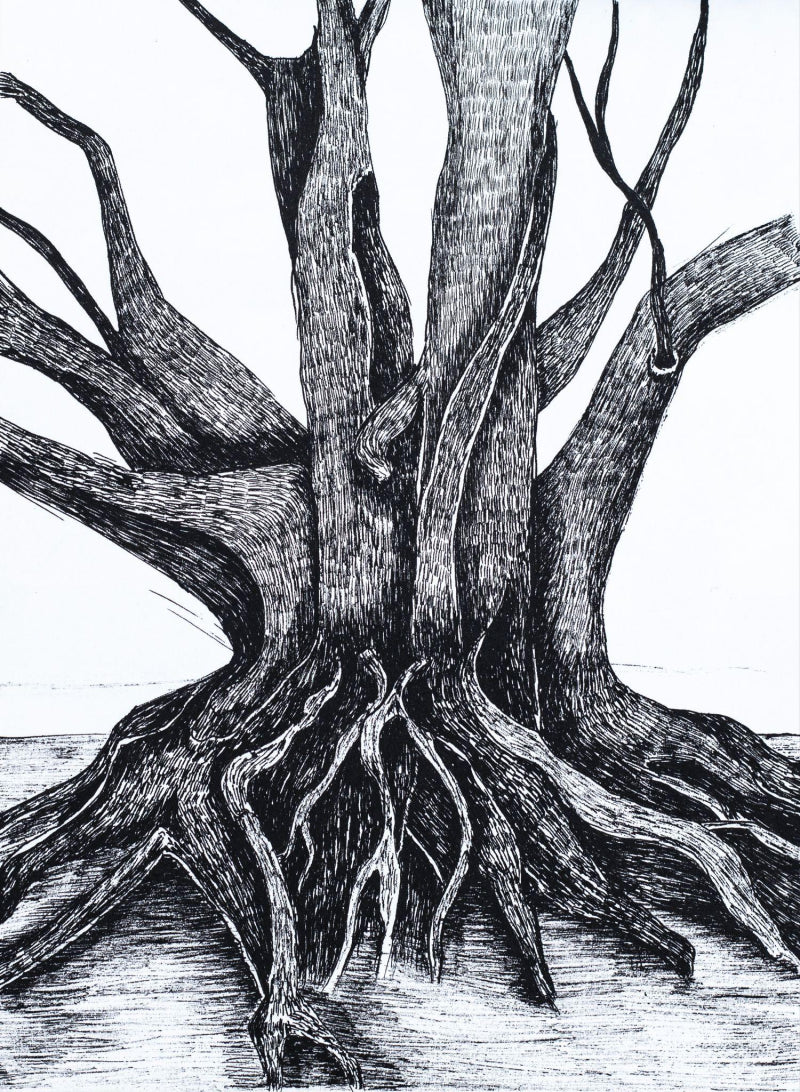 'Rooted Memories' nature ink drawing by artist Ankit Kushwaha, 8x6 inch, on paper