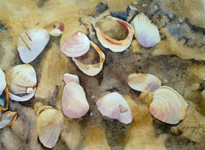 Shells (Shells by Shagufta Mehdi) by Shagufta Mehdi, Original Watercolor Nature Painting on Paper, Small Horizontal Wall Art