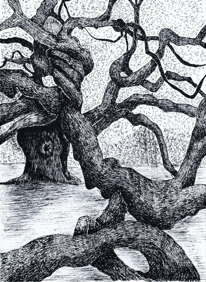 'Sprawling Silence' nature ink drawing by artist Ankit Kushwaha, 8x6 inch, on paper