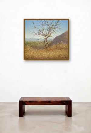 Stand Alone Tree by artist Fareed Ahmed displayed in a Boutique Hotel Style Library