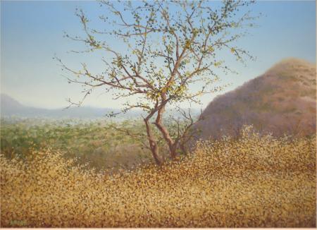 Landscape oil painting titled 'Stand Alone Tree', 16x22 inches, by artist Fareed Ahmed on Canvas Board