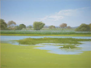 Sunny Morning by Fareed Ahmed, Original Oil Landscape Painting on Canvas, Small Horizontal Wall Art
