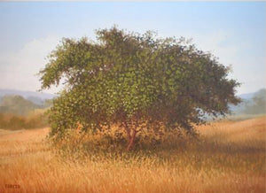 The Bushy Tree by Fareed Ahmed, Original Oil Landscape Painting on Canvas Board, Small Horizontal Wall Art