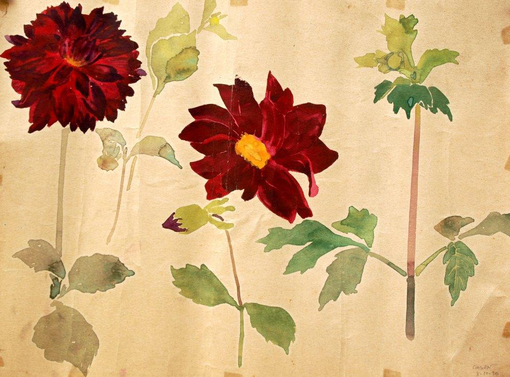 Nature mixed media drawing titled 'THE CARNATIONS', 12x15 inches, by artist Gagan Arora on Paper