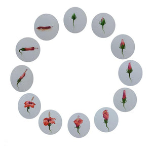 The Life (The Circle of Life) by Laxman Ahire, Original Watercolor Nature Painting on Paper, X-Small Square Wall Art