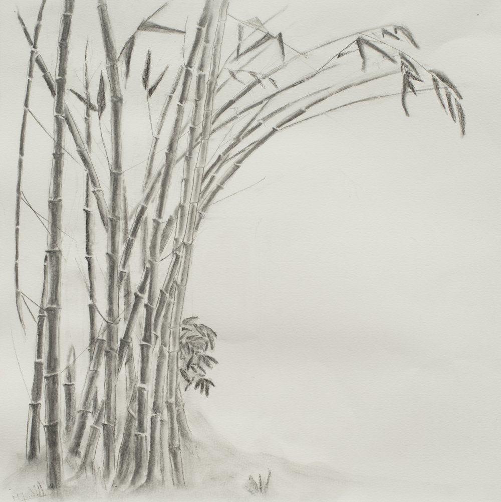 Nature charcoal artcontent titled 'The tall grass', 22x22 inches, by artist Ganesh Mohan on Paper