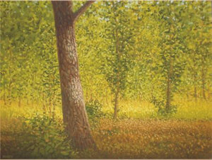 Tree Trunk Ii by Fareed Ahmed, Original Oil Landscape Painting on Canvas, Small Horizontal Wall Art