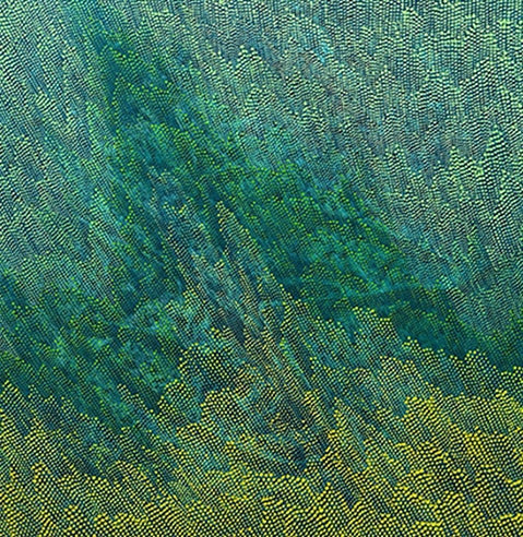 Abstract acrylic painting titled 'Untitled 83', 24x24 inch, by artist Durgesh Birthare on Canvas