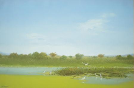 Landscape oil painting titled 'Water View', 20x30 inches, by artist Fareed Ahmed on Canvas