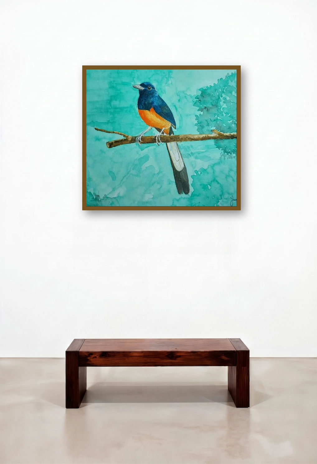 White Rumped Shama (A Splash of Color in the Green)