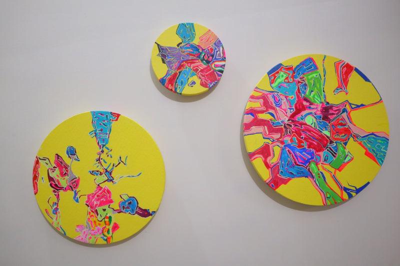 Disc Paintings & Artworks