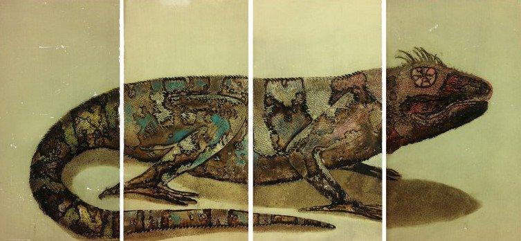 Chameleon Drawings