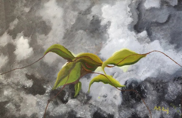 Arti Raj - Exclusive Collection Available for Sale Online