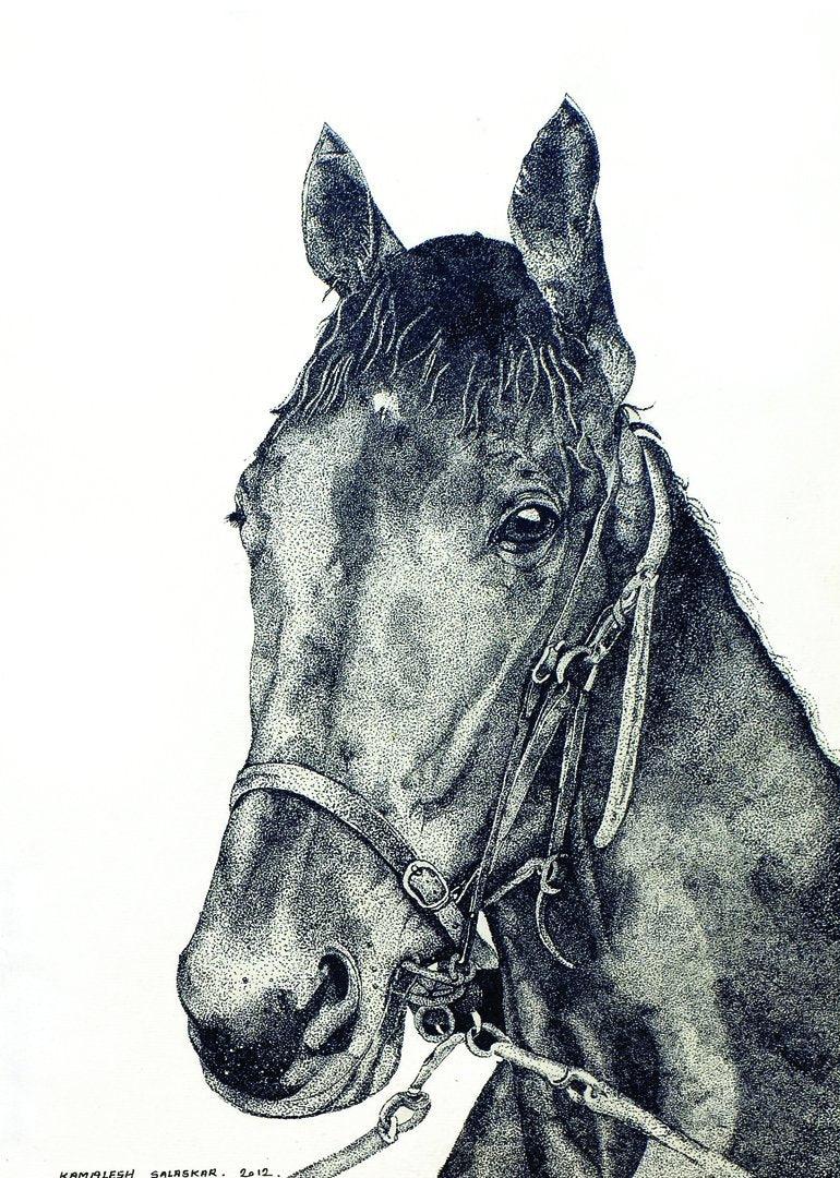 Horse Drawings & Sketches