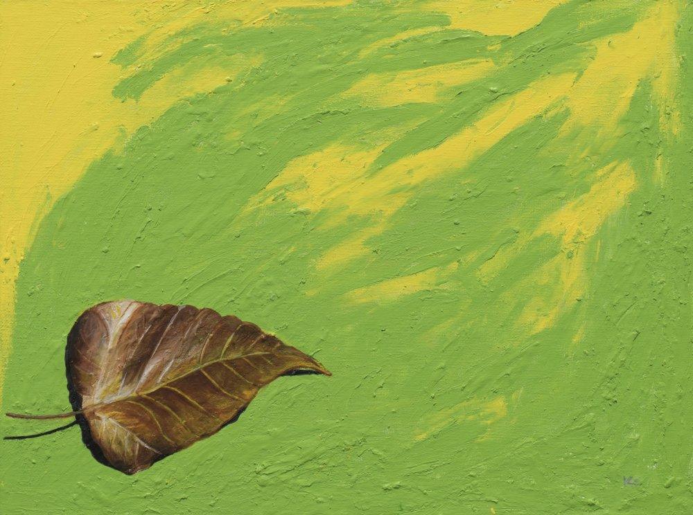 Ketna - Exclusive Collection Available for Sale Online