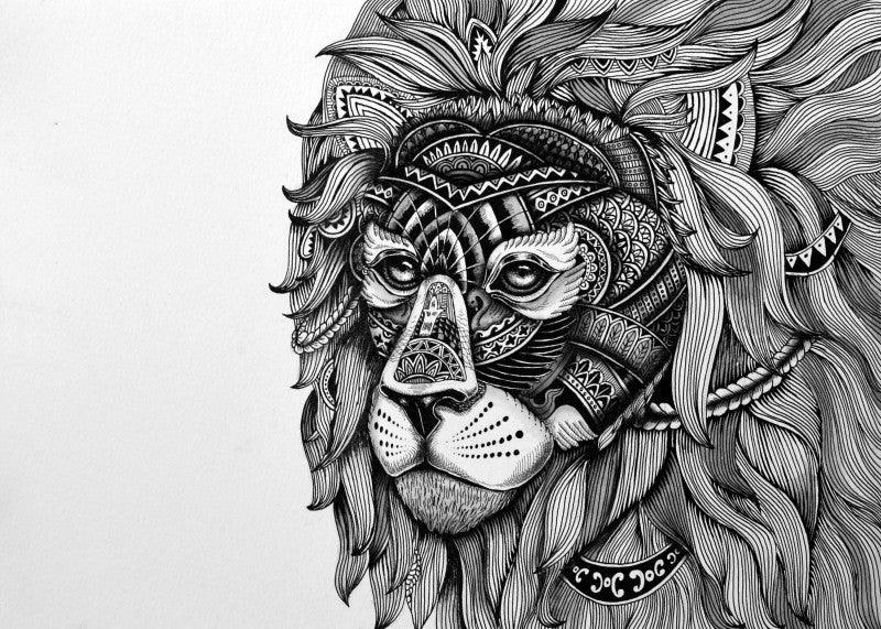 Lion Drawings & Sketches
