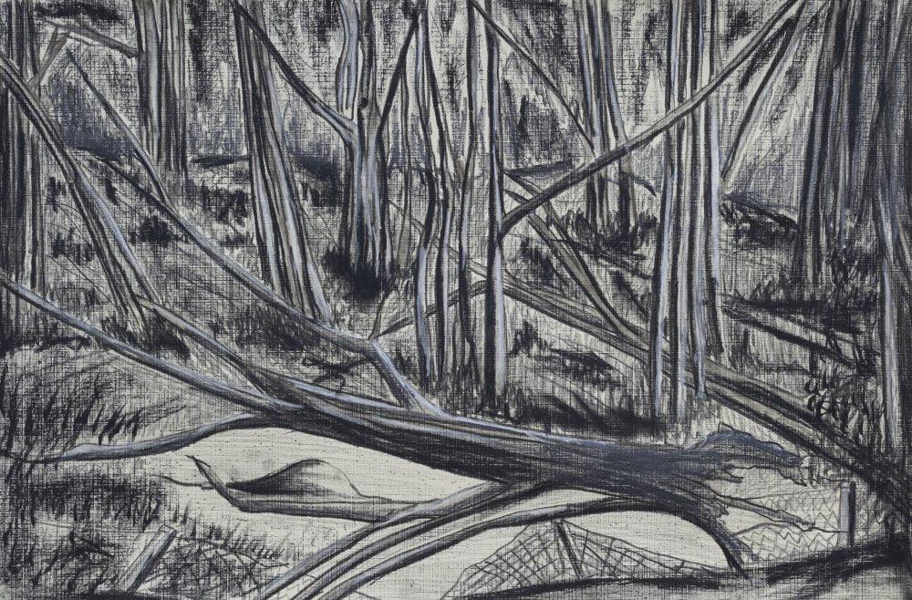 Nitin Kd - Exclusive Collection Available for Sale Online