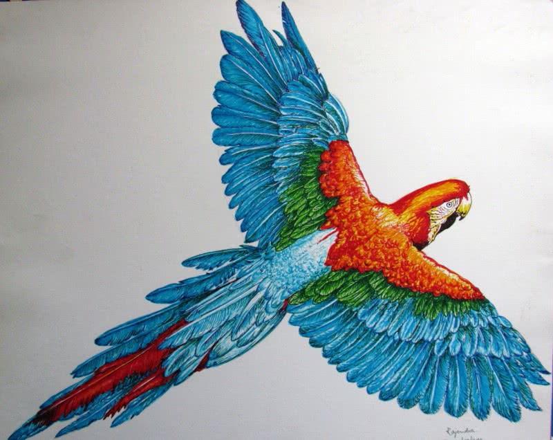 Rajendra V - Exclusive Collection Available for Sale Online