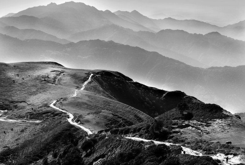 Satyaki Biswas - Exclusive Collection Available for Sale Online