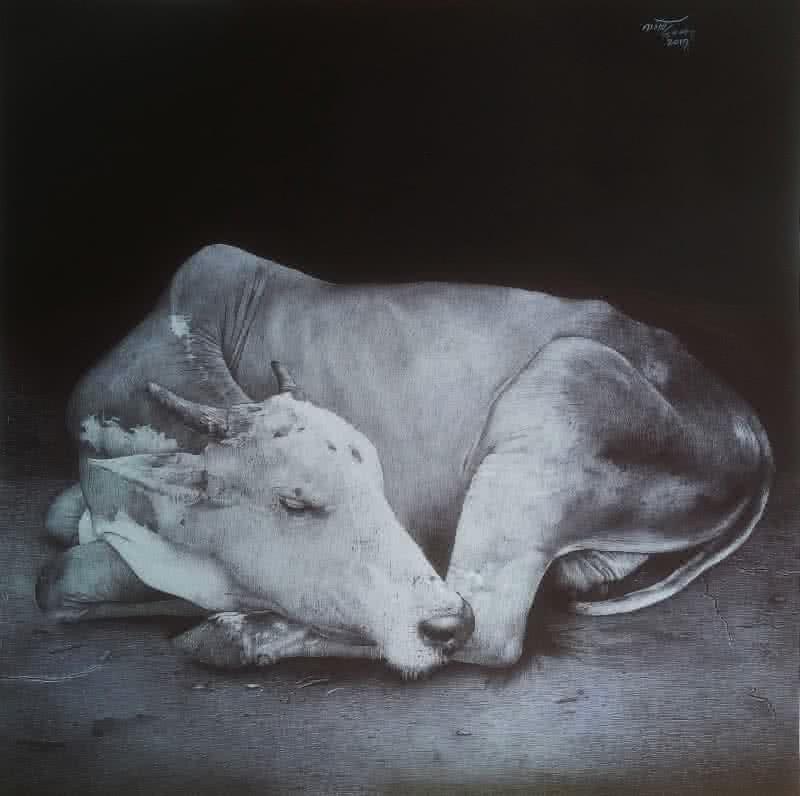 Cow Drawings & Sketches