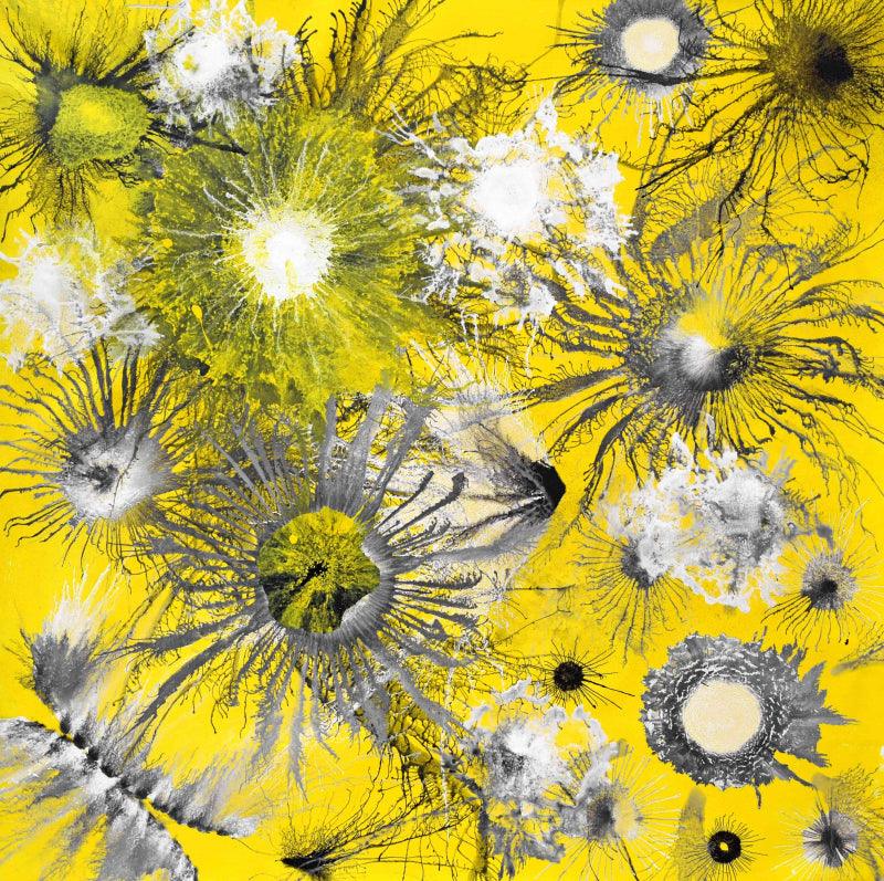 Sumit Mehndiratta - Exclusive Collection Available for Sale Online