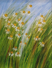 Daisy Paintings & Art
