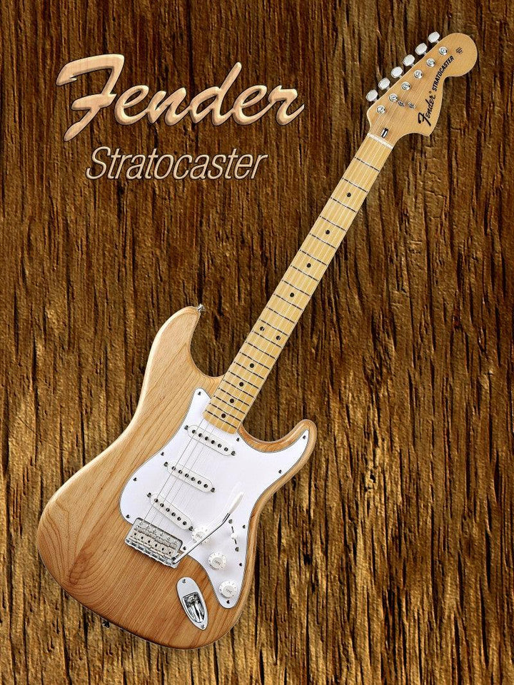 American Fender Stratocaster Photography by Shavit Mason | ArtZolo.com