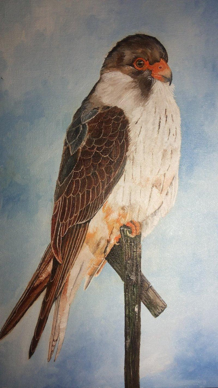 Amur Falcon Painting by Yashodan Heblekar | ArtZolo.com