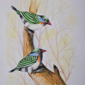 Animals watercolor painting titled 'Birds 226', 12x9 inches, by artist Santosh Patil on paper