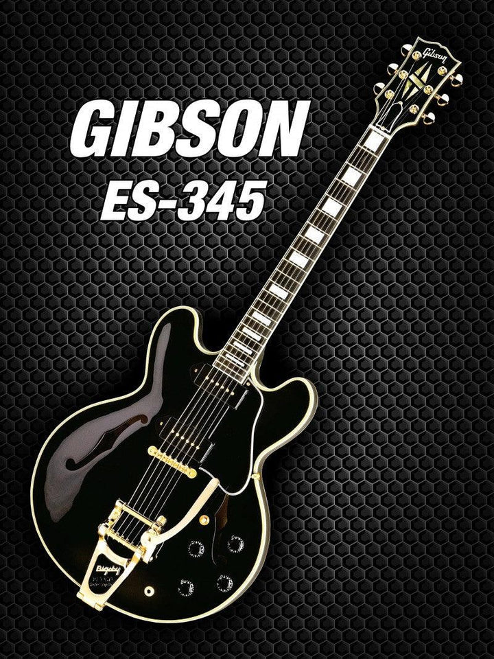 Black Gibson Es 345 Photography by Shavit Mason | ArtZolo.com