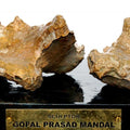 Abstract sculpture titled 'Bronze', 12x14x10 inches, by artist GOPAL PRASAD MANDAL on bronze