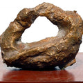 Abstract sculpture titled 'Bronze', 12x14x10 inches, by artist GOPAL PRASAD MANDAL on bronze