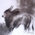 Animals charcoal drawing titled 'Bull 9', 8x8 inches, by artist Shivu Hugar on Paper