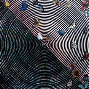 Animals acrylic painting titled 'Butterfly', 48x48 inches, by artist Ghanshyam Gupta on Canvas