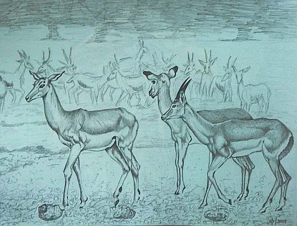 Deer Drawing by Rajendra V | ArtZolo.com