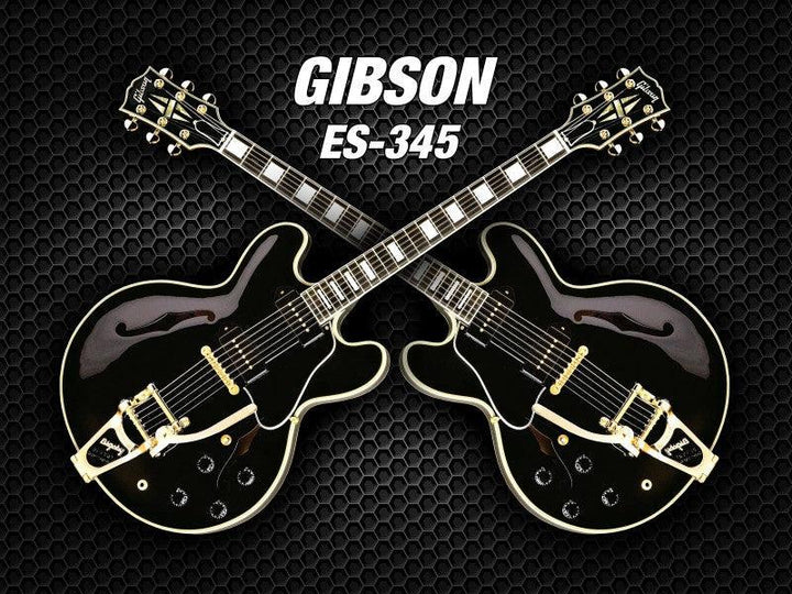 Double Black Gibson Es 345 Photography by Shavit Mason | ArtZolo.com