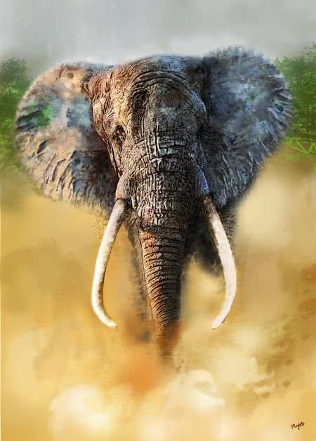 Elephant Digital Art by Rajesh Nayak | ArtZolo.com