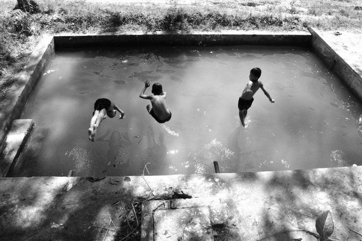 Fly To Swimming Photography by Rahmat Nugroho | ArtZolo.com