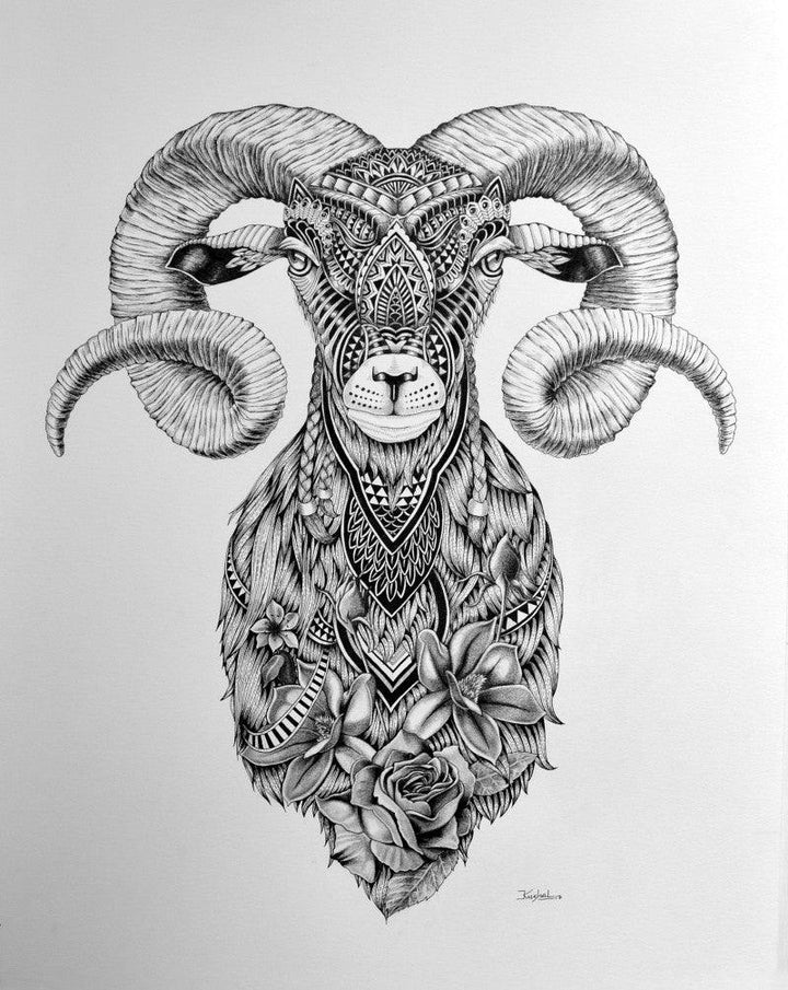 Goat 3 Drawing by Kushal Kumar | ArtZolo.com